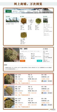药通网广告业务全面介绍